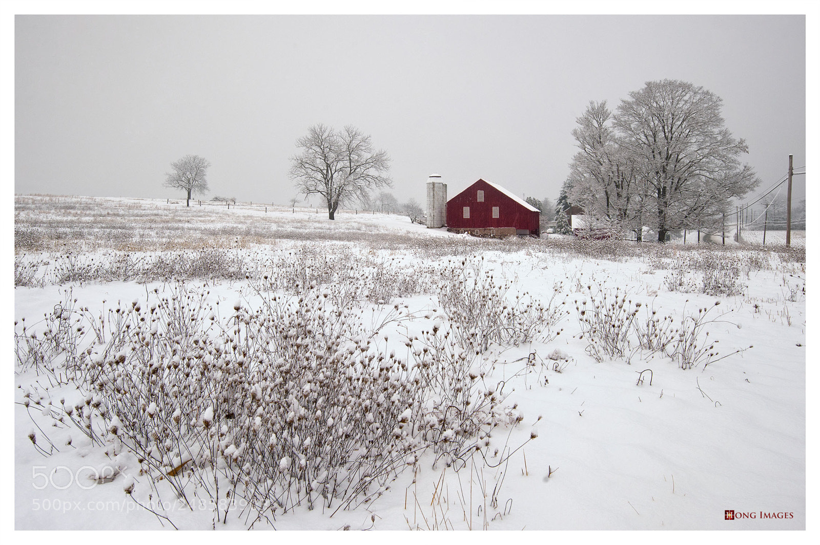 Nikon D700 sample photo. Red barn in snow photography