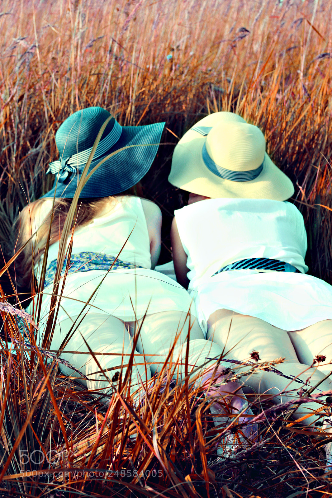 Canon EOS 600D (Rebel EOS T3i / EOS Kiss X5) sample photo. In the grass photography
