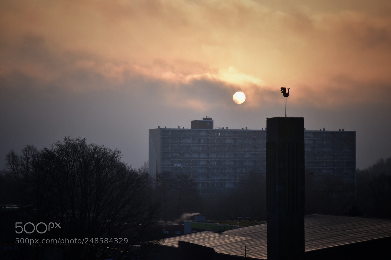 Nikon D5500 sample photo. Good morning photography