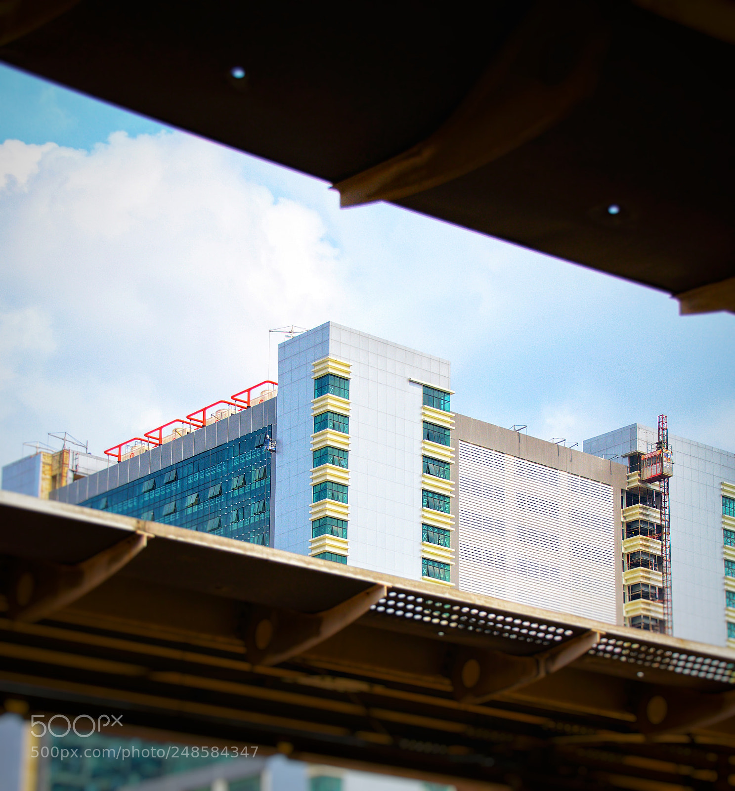 Nikon D5300 sample photo. Untitled photography