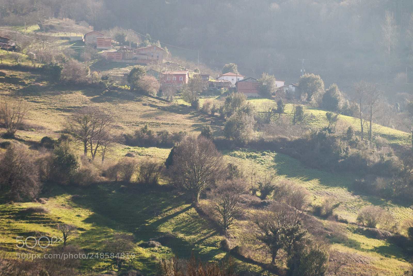 Nikon D3000 sample photo. Sol de invierno photography