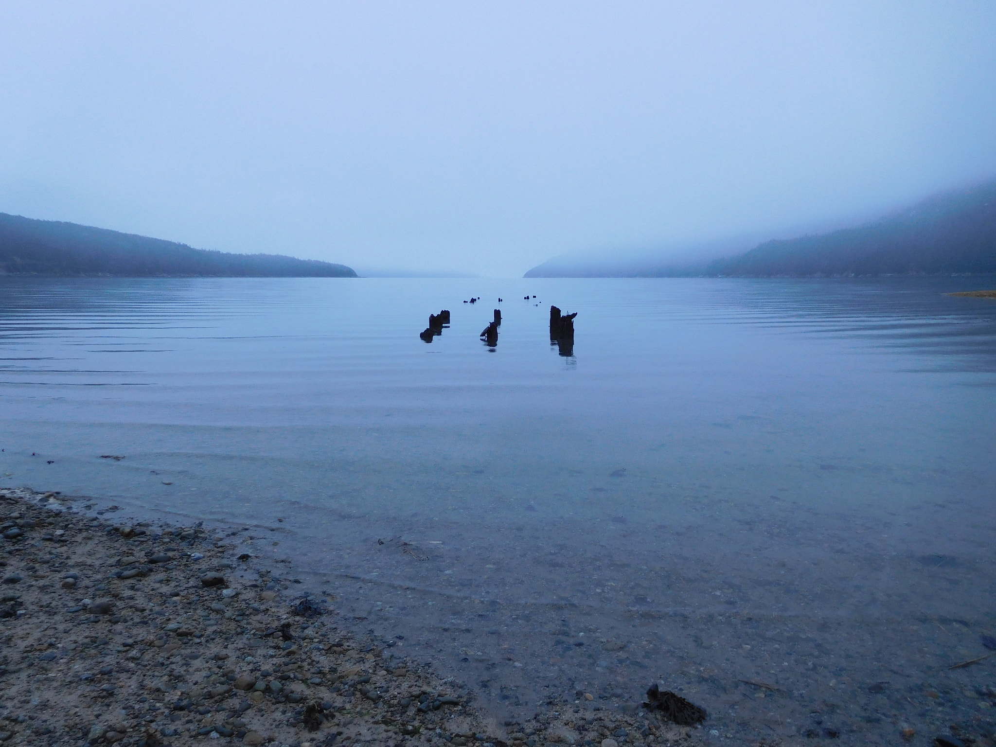 Nikon Coolpix S7000 sample photo. Foggyflats photography