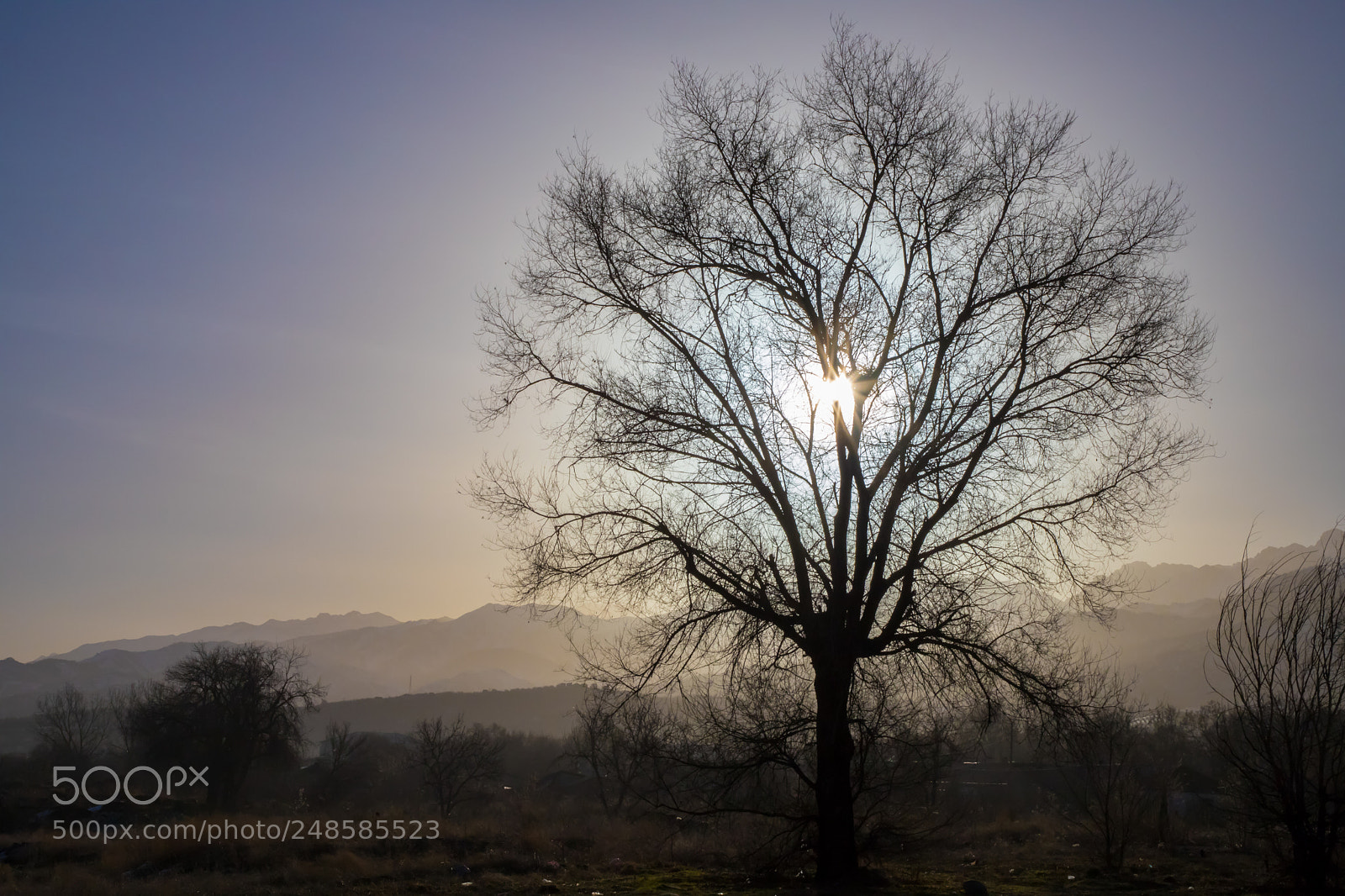 Canon EOS 6D Mark II sample photo. Spring photography