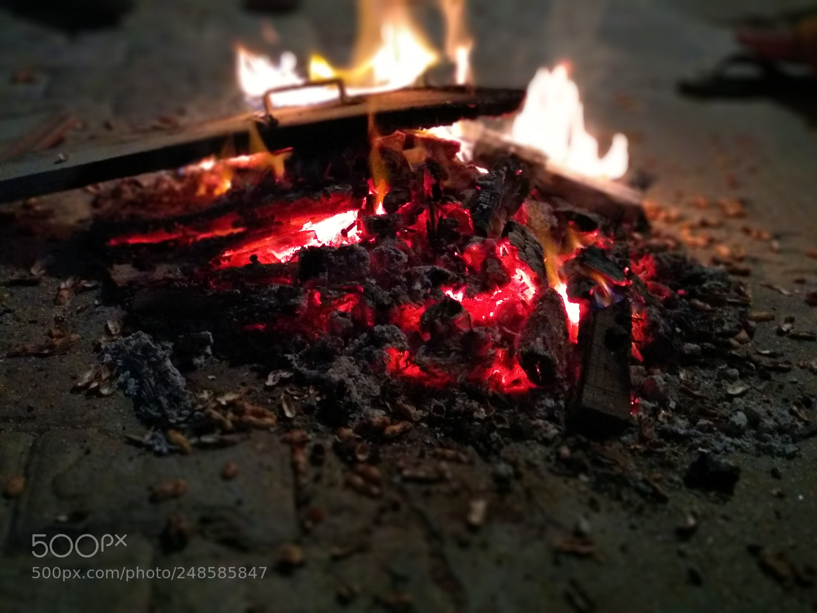 Xiaomi Mi A1 sample photo. Untitled photography