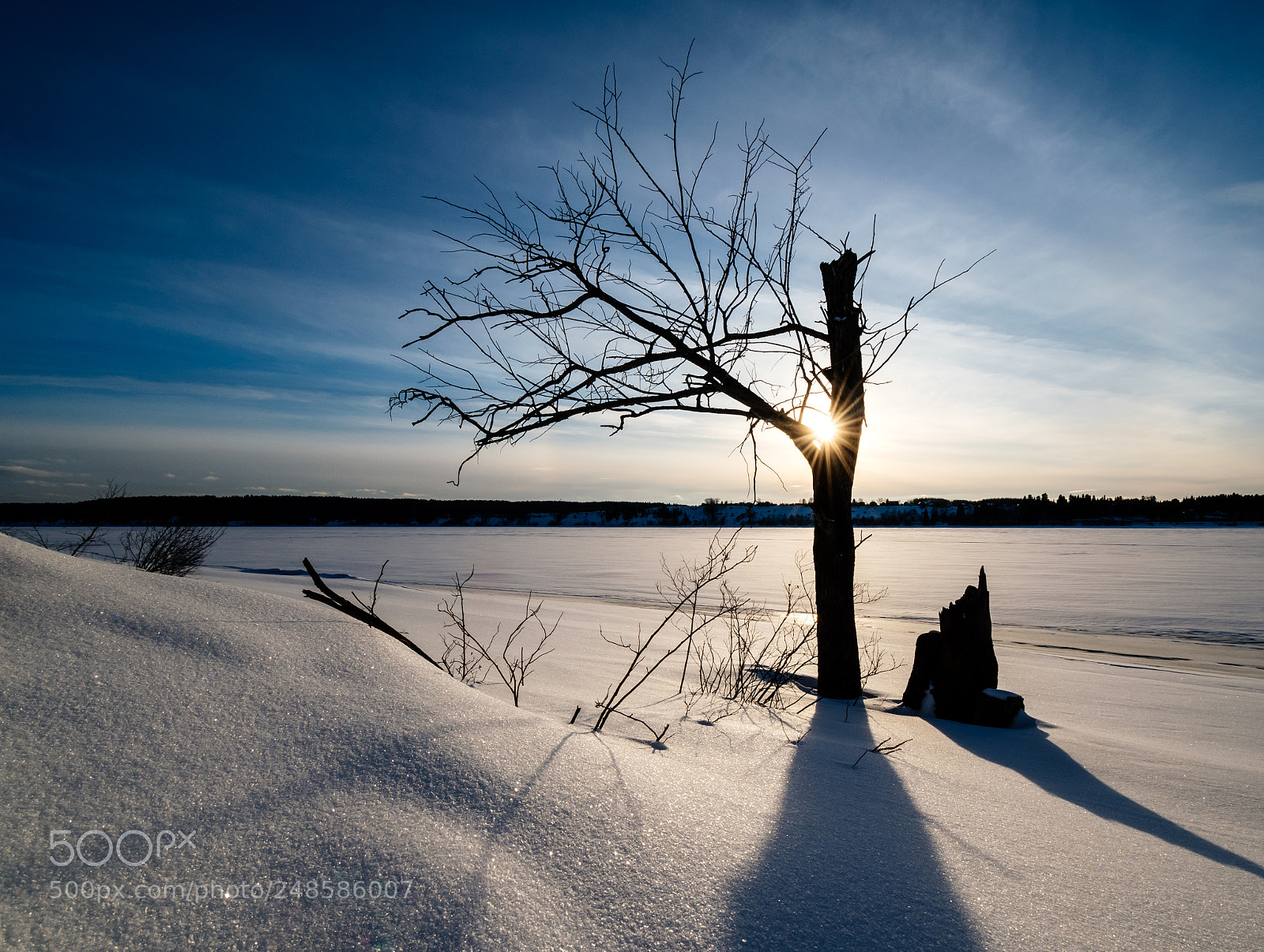 Nikon D5500 sample photo. Forms photography
