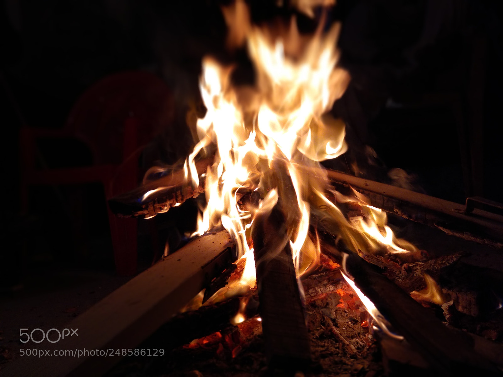 Xiaomi Mi A1 sample photo. Untitled photography