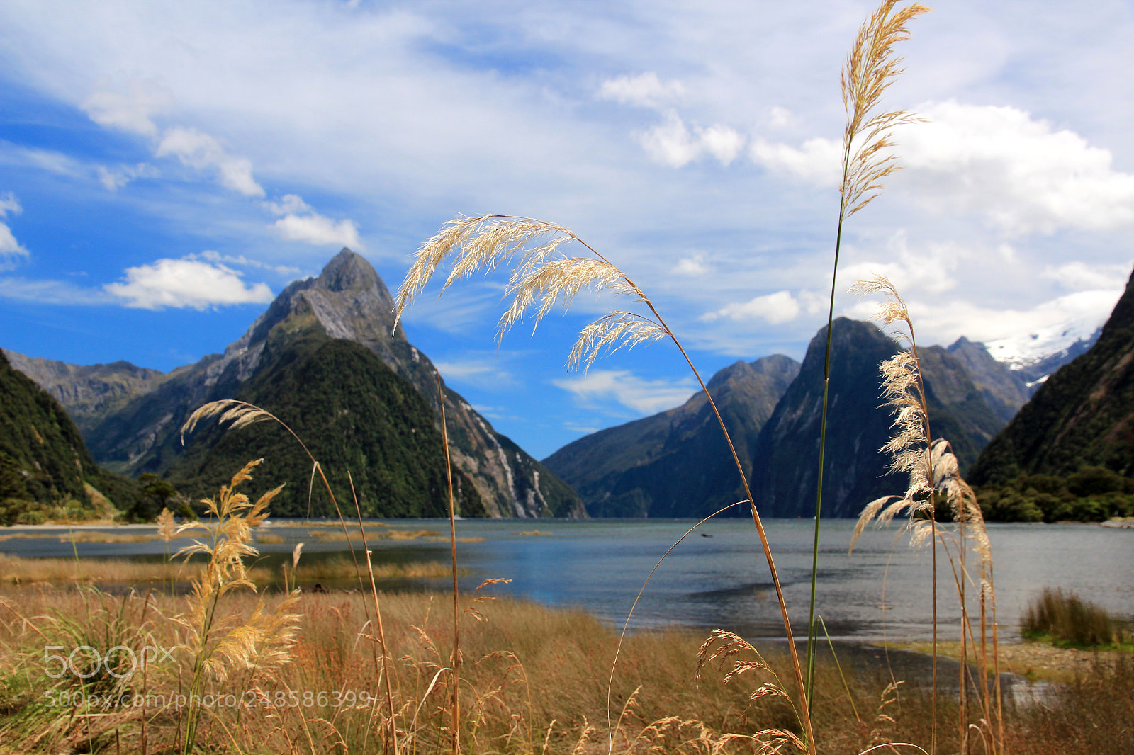 Canon EOS 600D (Rebel EOS T3i / EOS Kiss X5) sample photo. Milford sound photography
