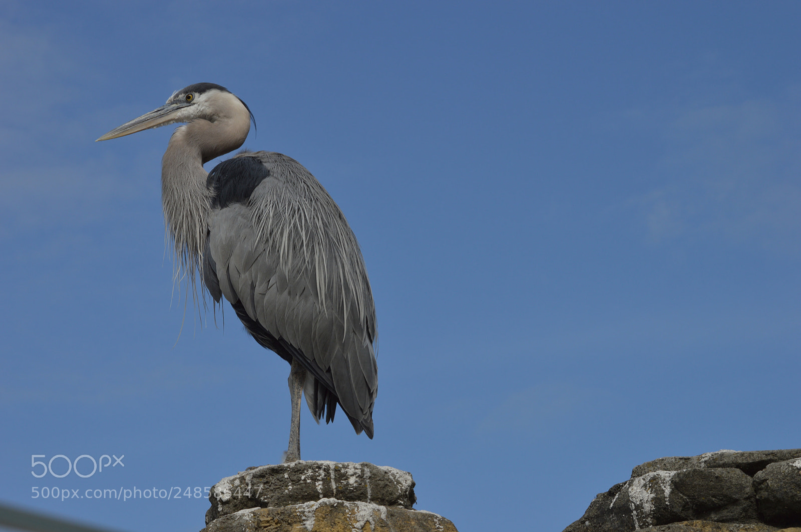 Nikon D3200 sample photo. Blue photography