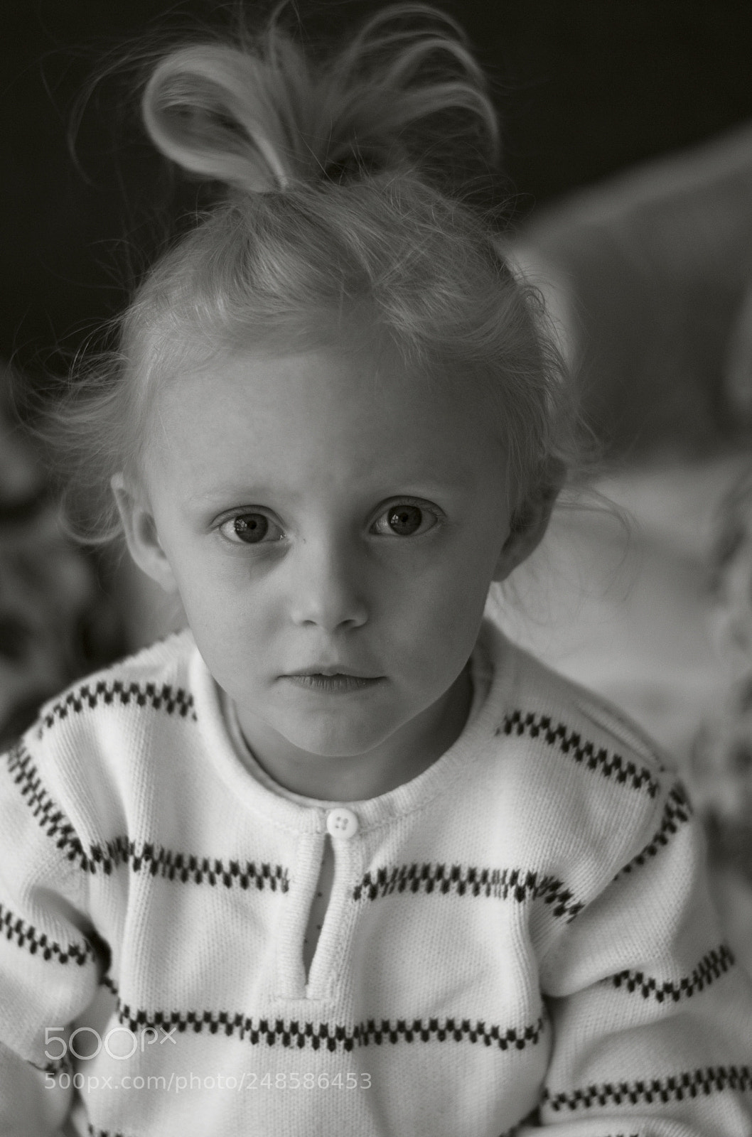 Nikon D60 sample photo. Untitled photography
