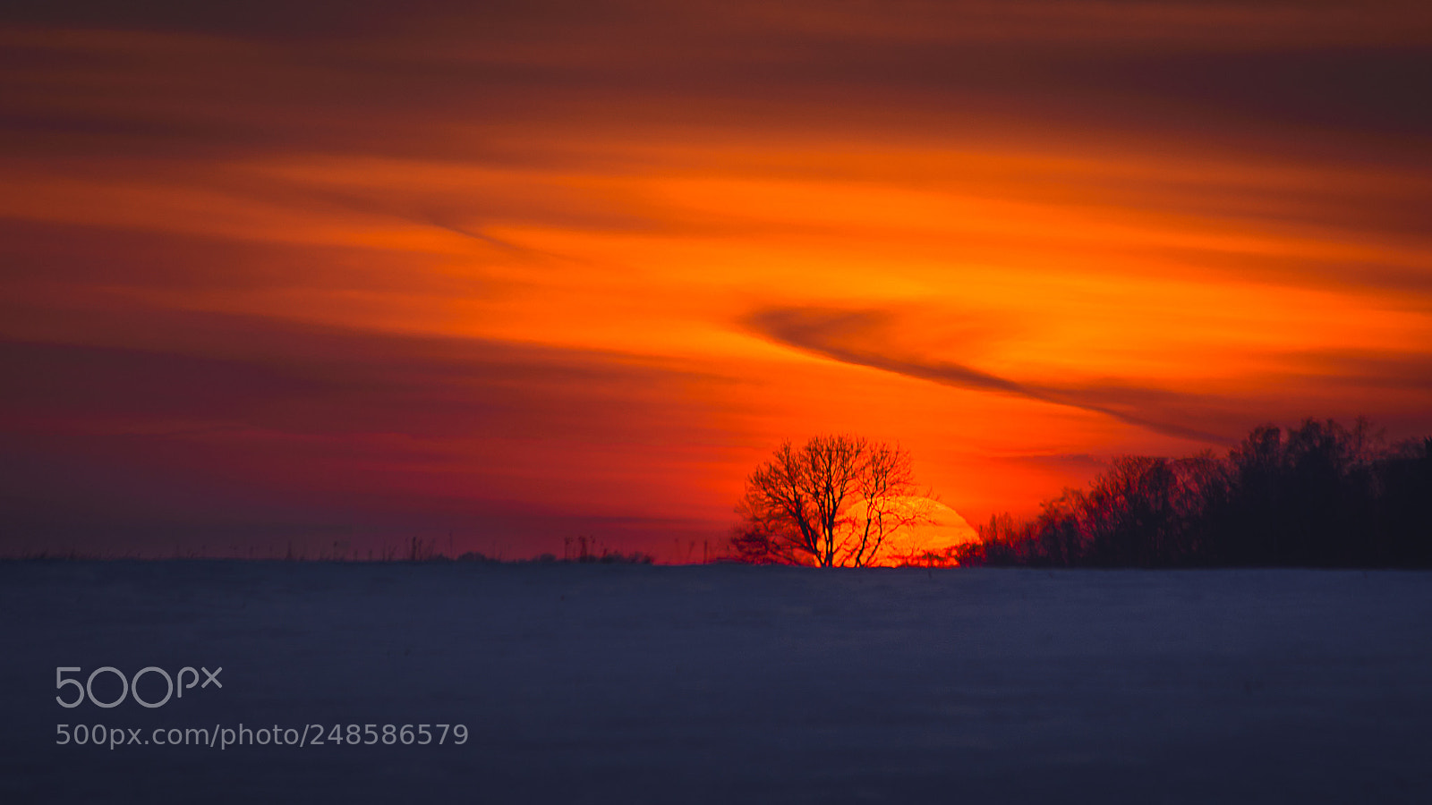 Nikon D610 sample photo. Sunset photography