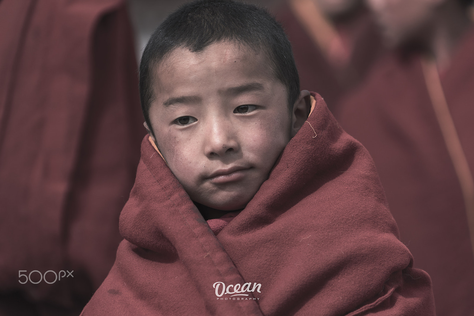 Nikon D810A sample photo. Waiting photography