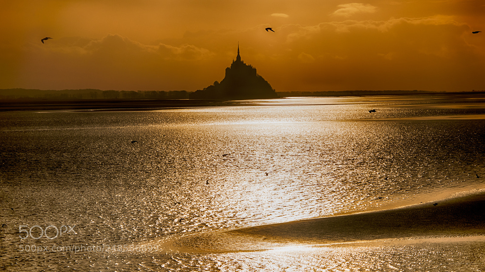Nikon D850 sample photo. Vol du soir photography