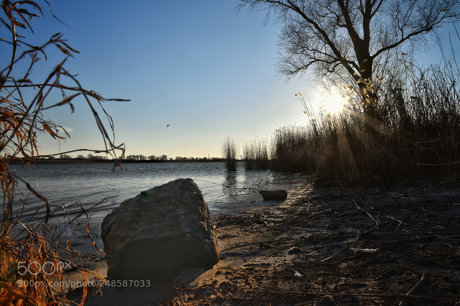 Nikon D7200 sample photo. Riverbank photography