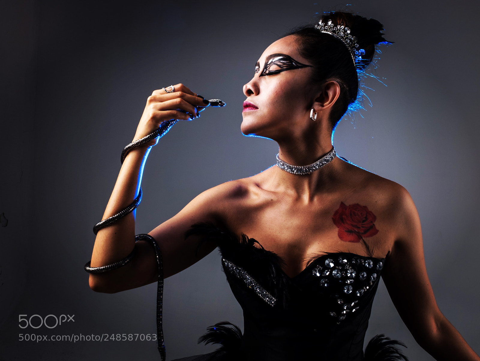 Fujifilm X100S sample photo. Black swan photography