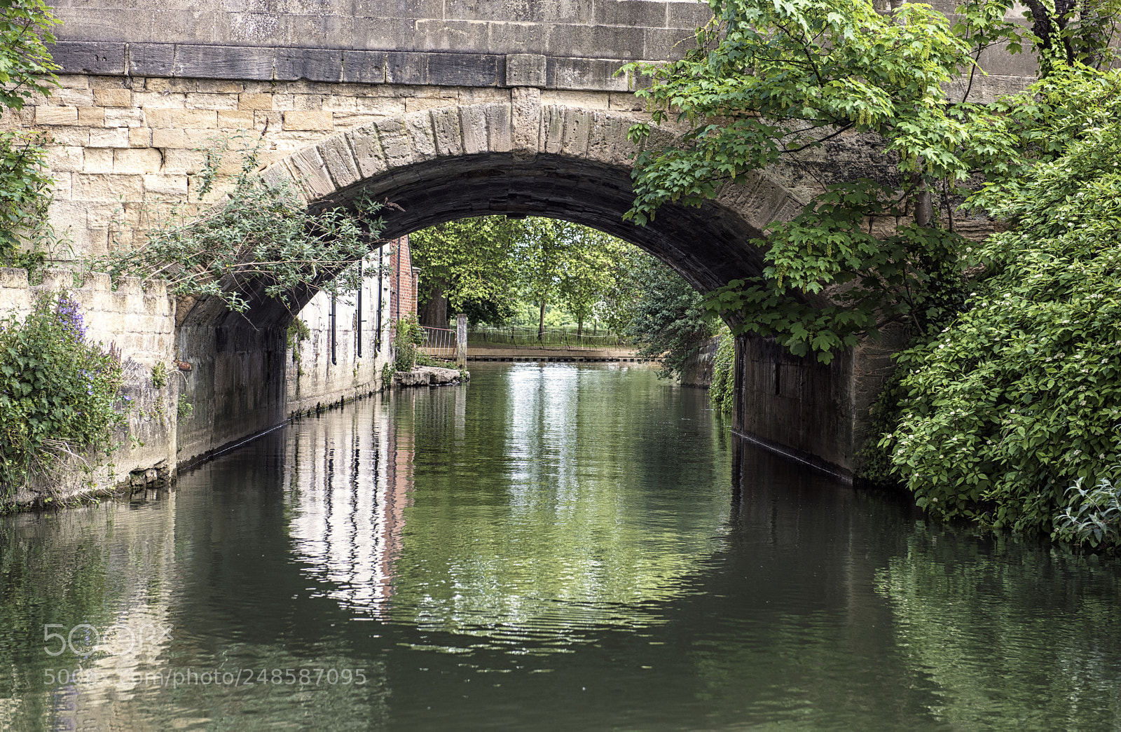 Nikon D810 sample photo. Tranquility photography