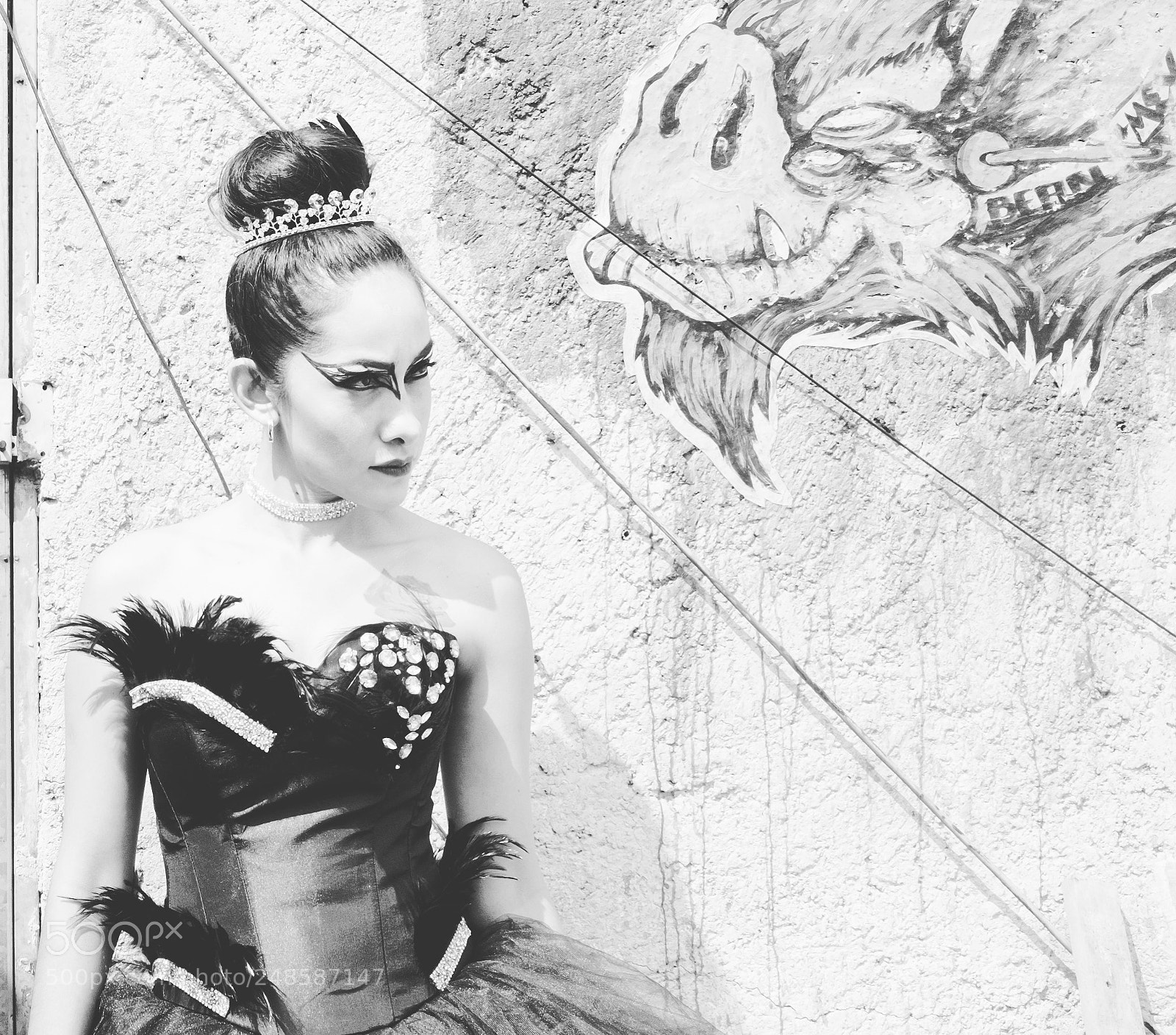 Fujifilm X100S sample photo. Black swan photography