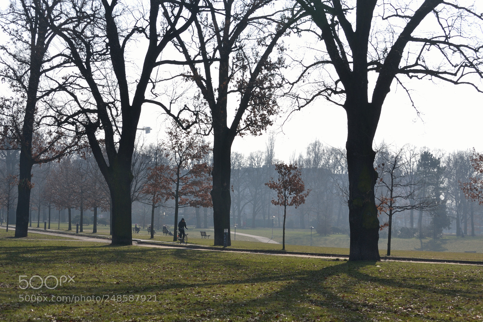 Nikon D3100 sample photo. Morning park photography