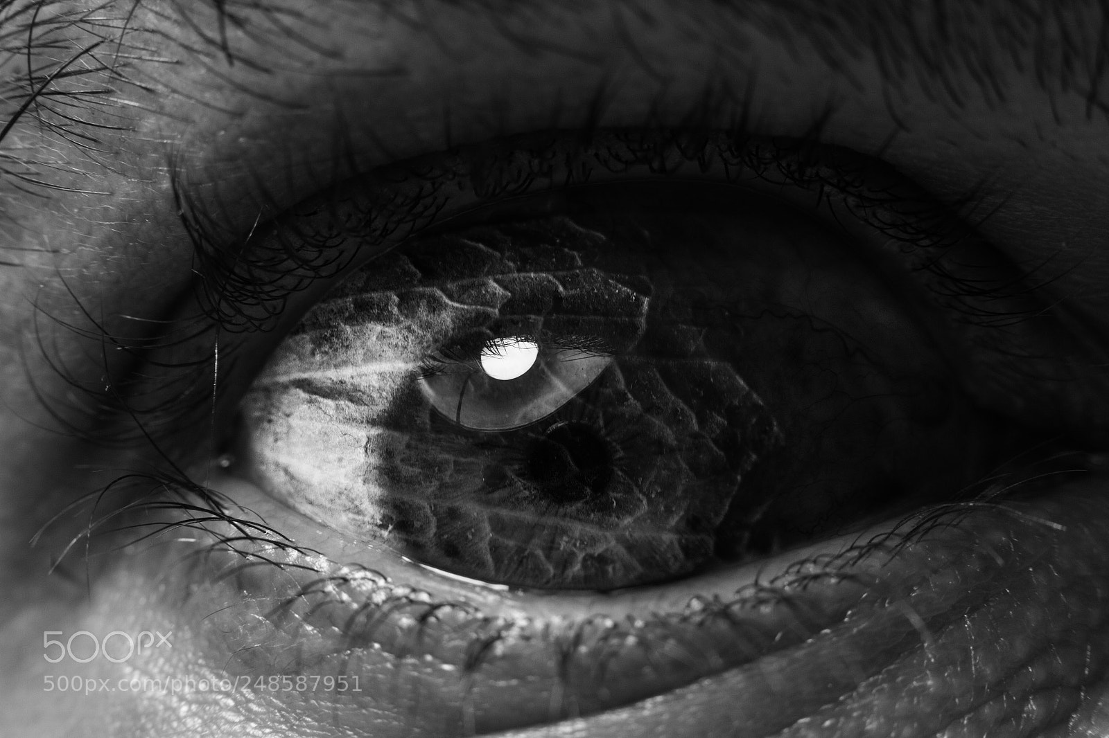 Canon EOS 7D sample photo. Ephemeral visualizations | dreye photography