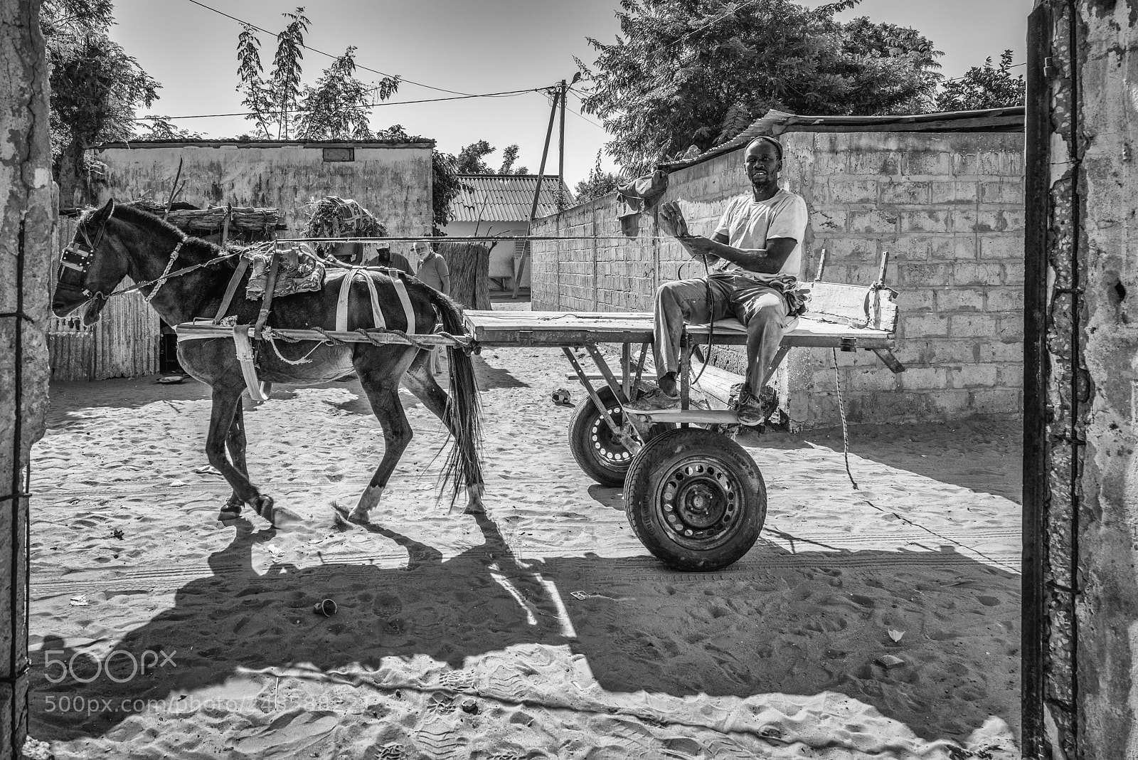 Nikon D800 sample photo. Horse carriage photography