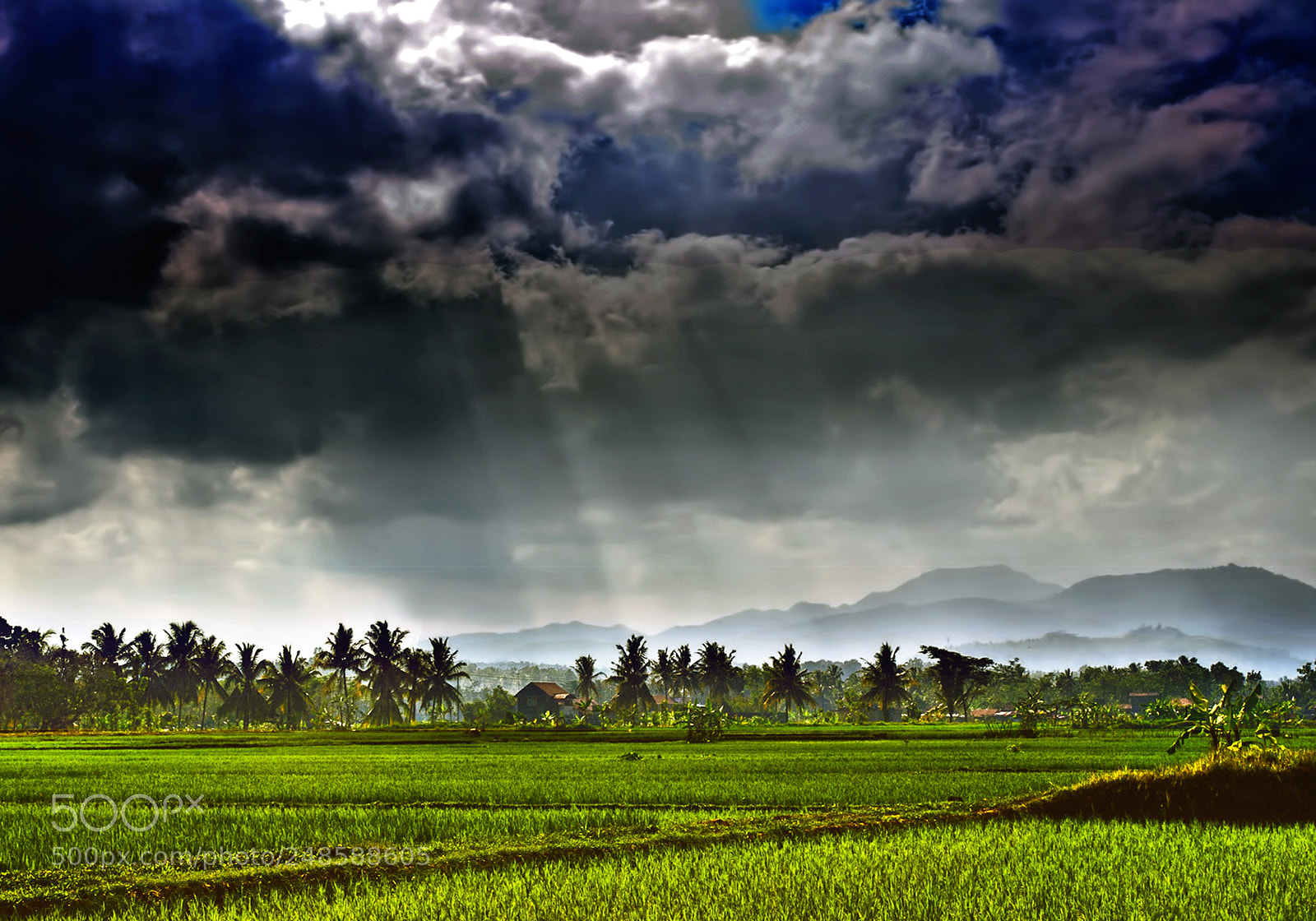 Canon EOS 5D sample photo. Cloudy weather will rain photography