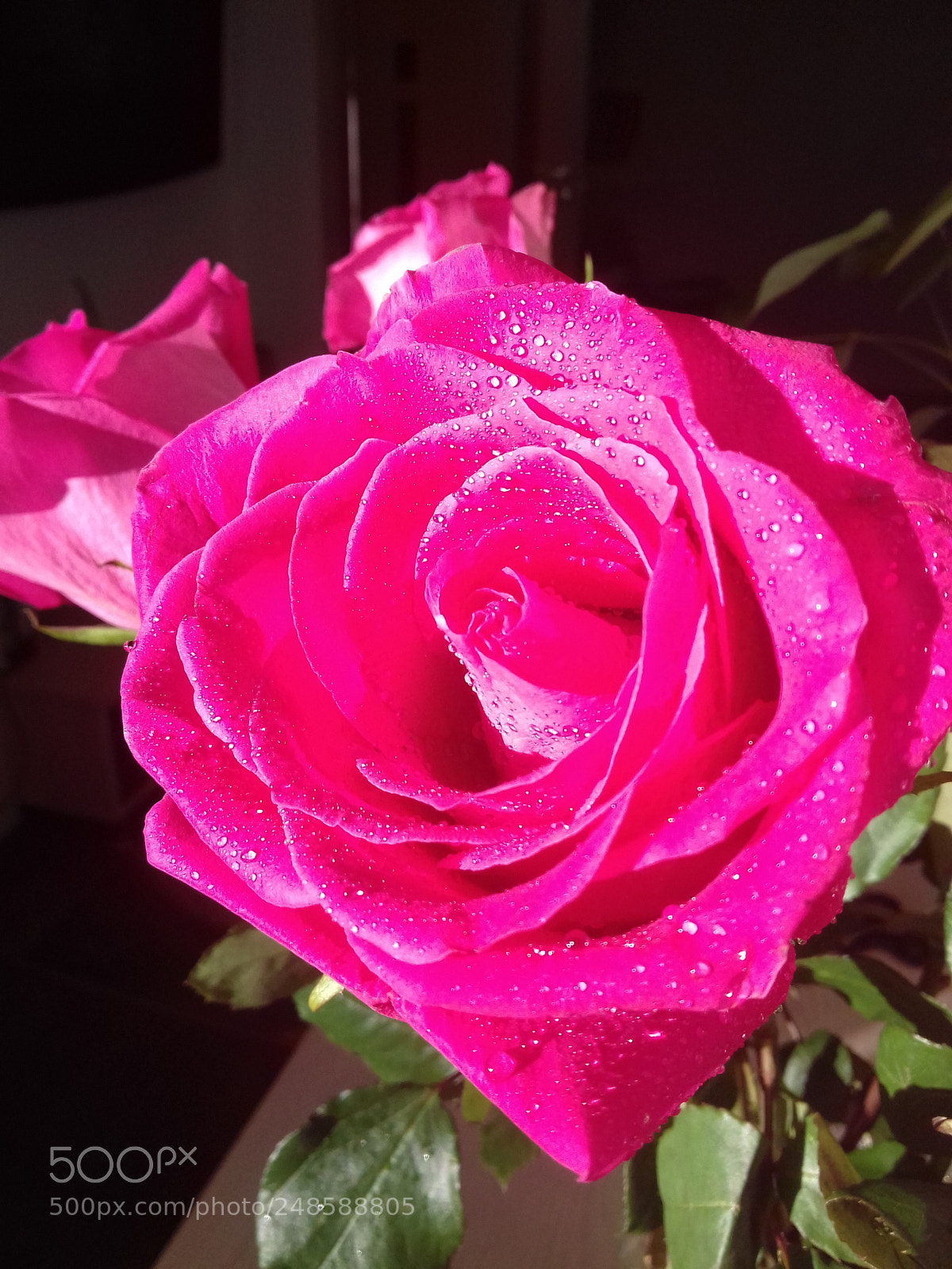 Samsung Galaxy J3(2016) sample photo. Untitled photography