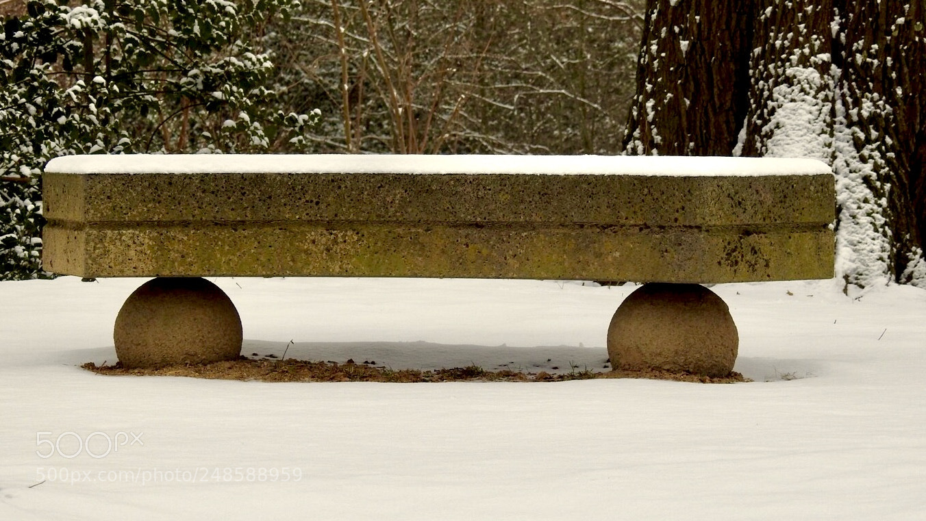 Nikon Coolpix P900 sample photo. A bench in the photography