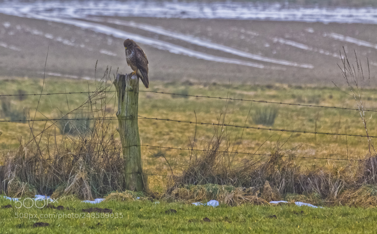 Canon EOS 60D sample photo. Hunting is so much photography
