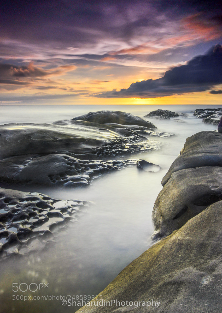 Nikon D800 sample photo. Tips of borneo photography