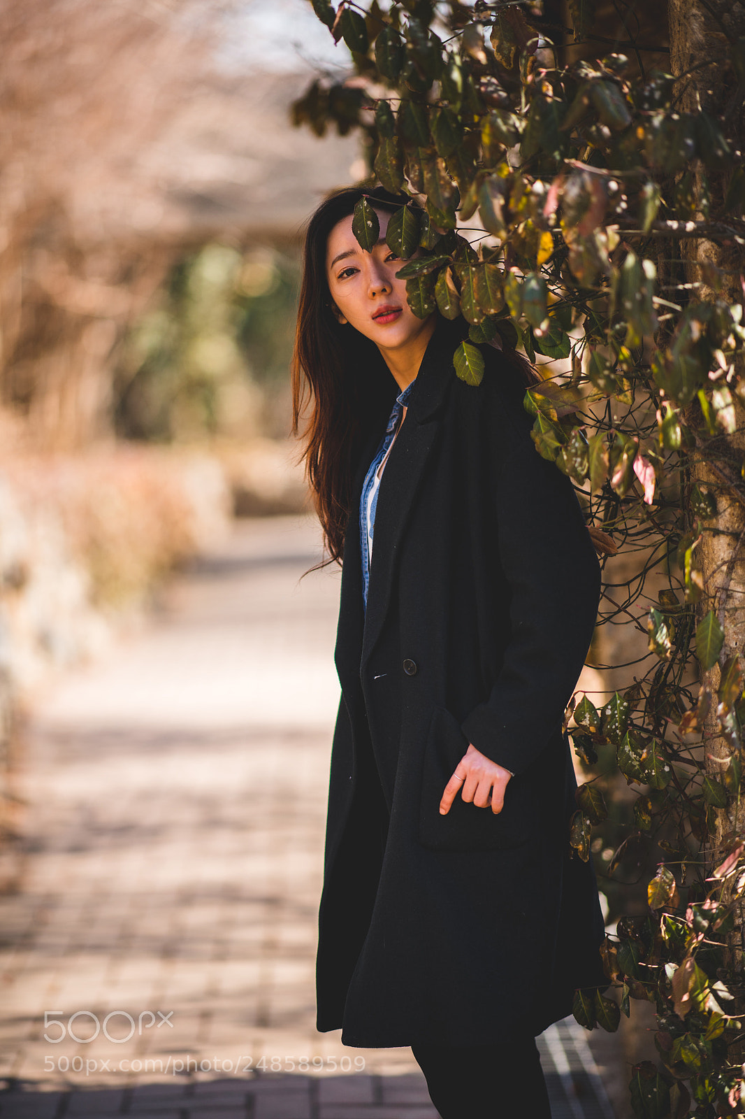 Nikon D850 sample photo. Park photography