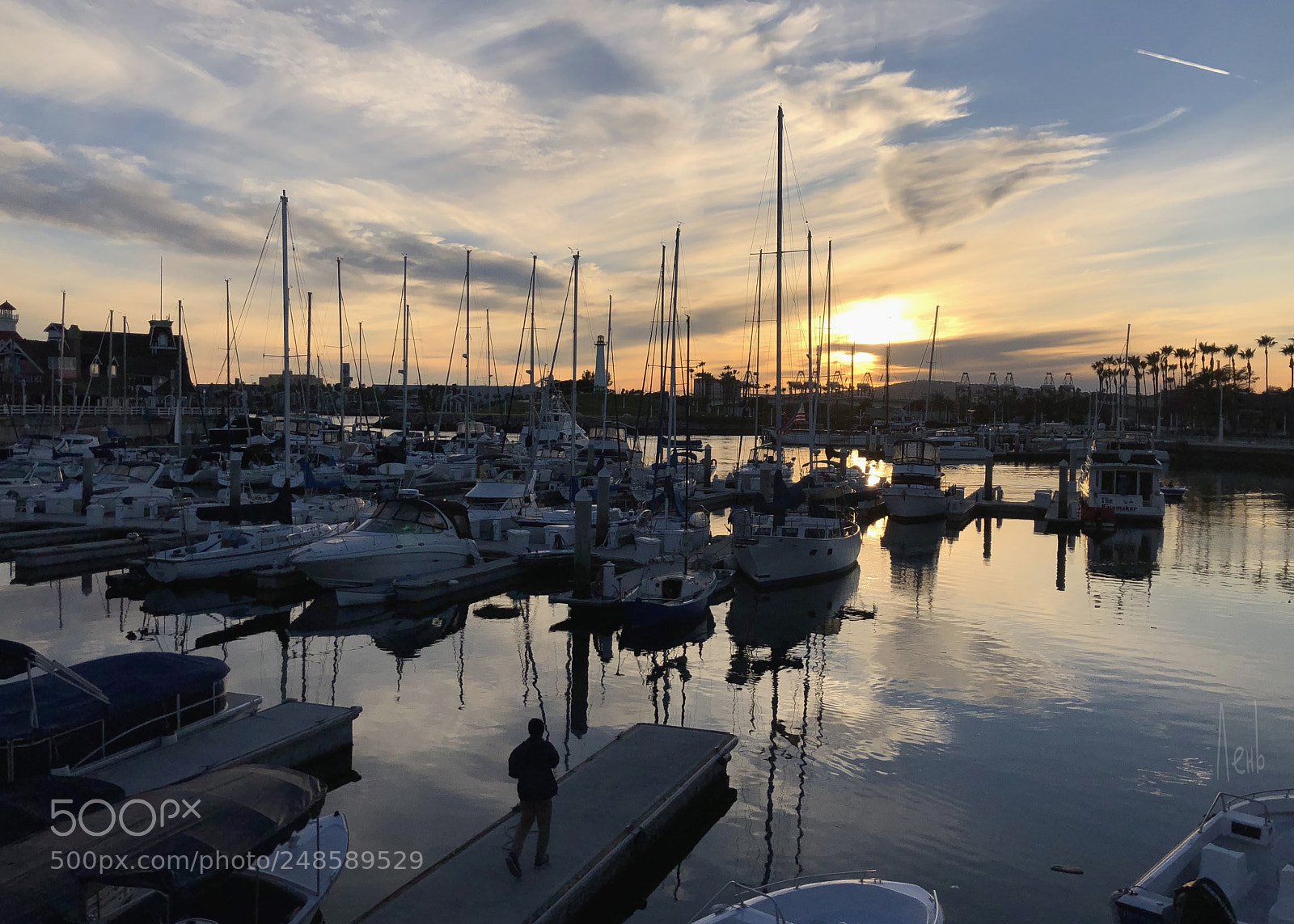 Apple iPhone 8 sample photo. Marina photography