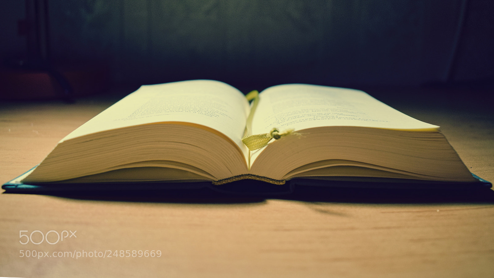 Nikon D5300 sample photo. Books photography