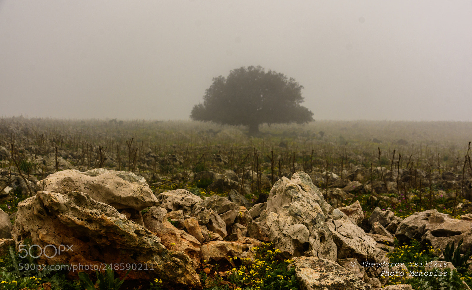 Nikon D7200 sample photo. Devil's land photography