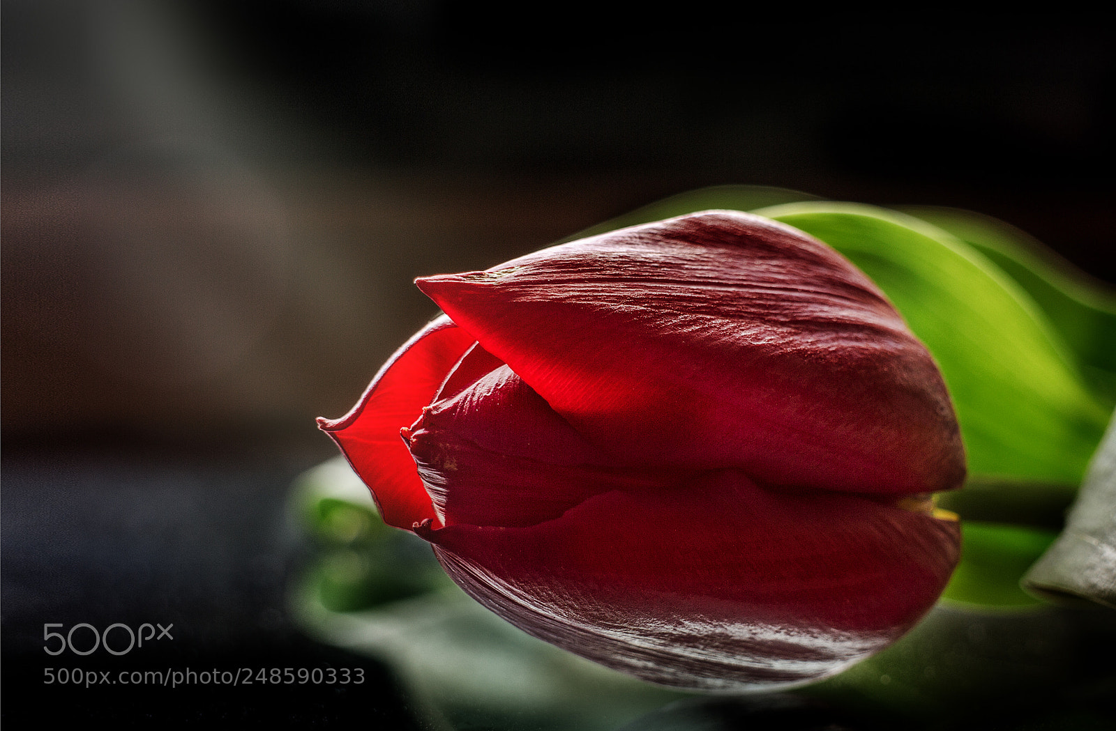 Canon EOS M sample photo. To all women in photography