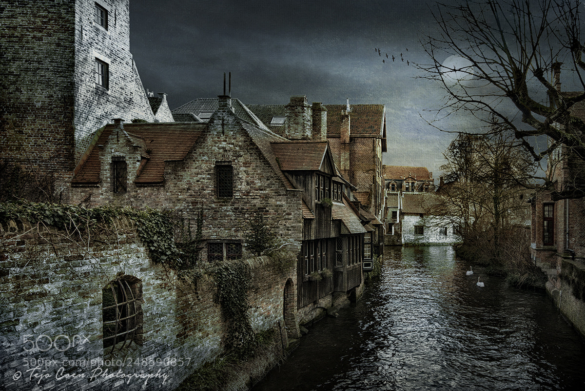 Nikon D800 sample photo. Brugge photography