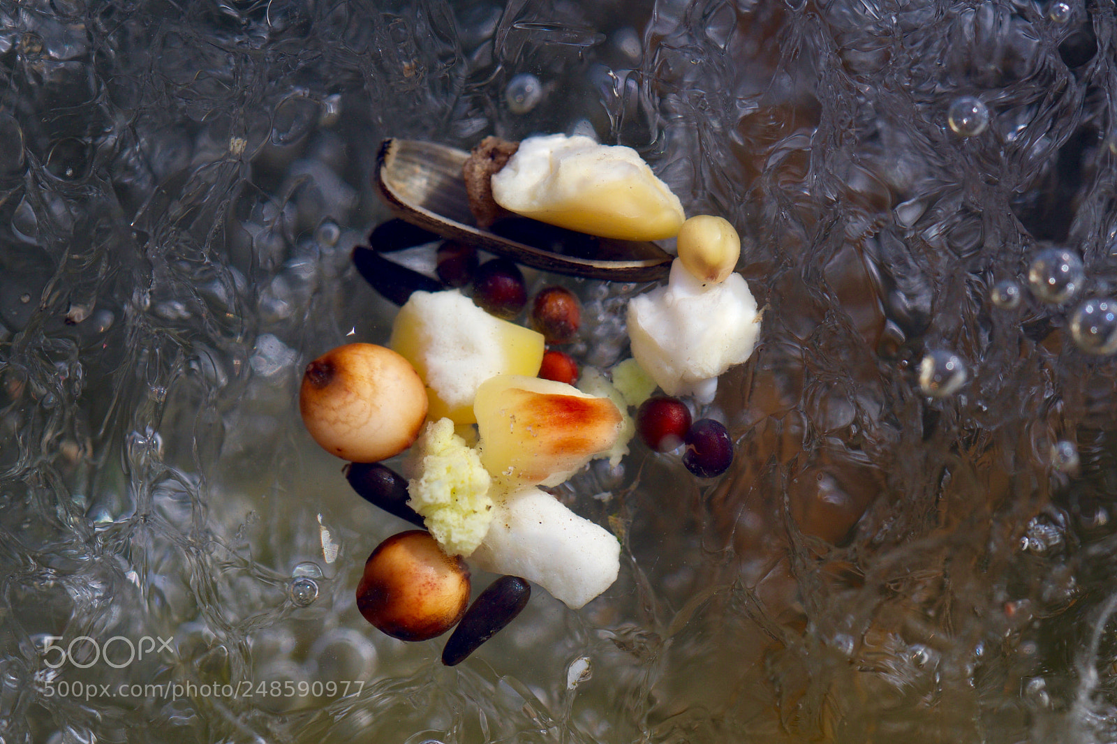 Nikon D500 sample photo. Untitled photography