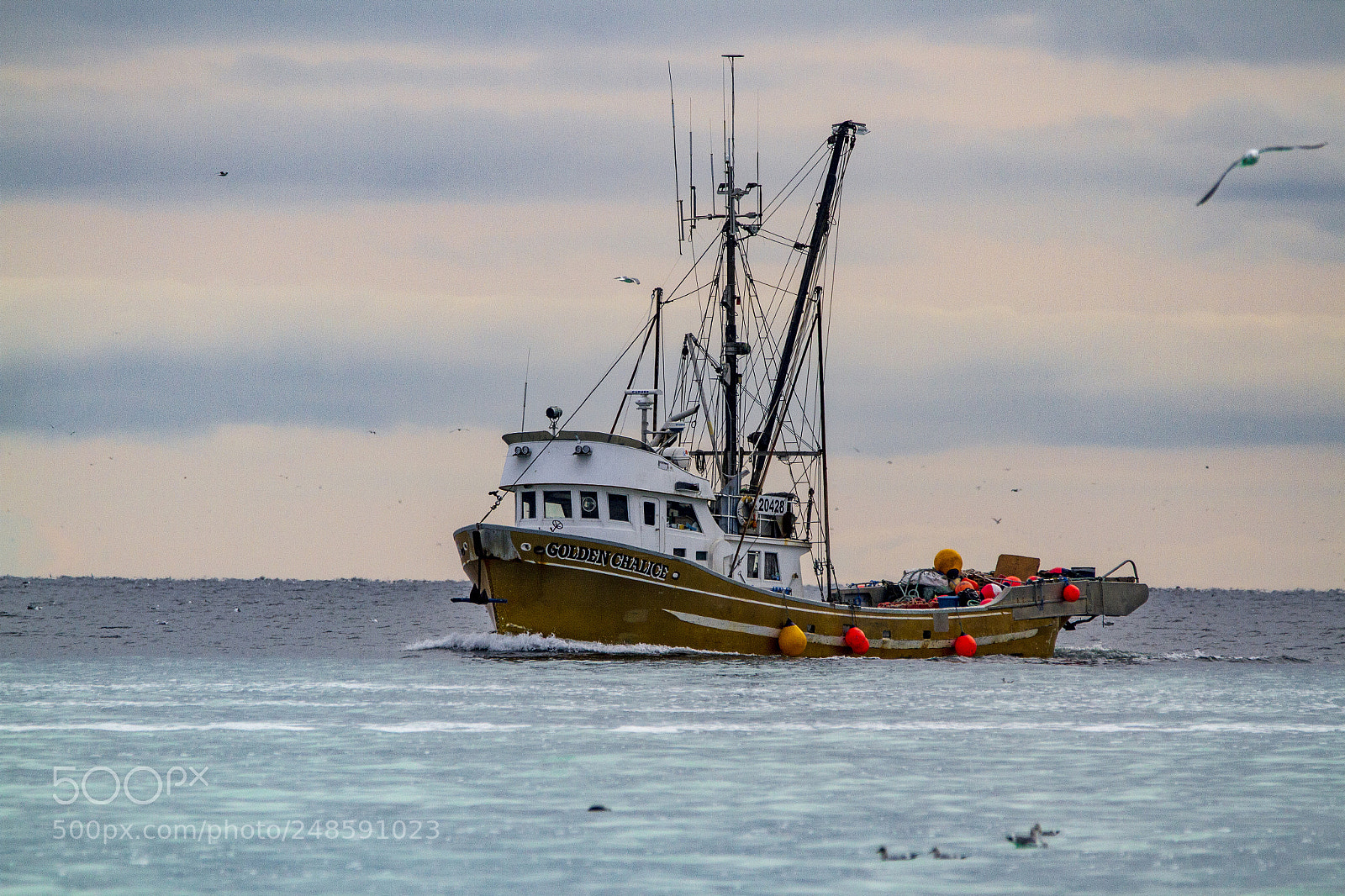 Canon EOS 7D sample photo. The herring grounds 2018 photography