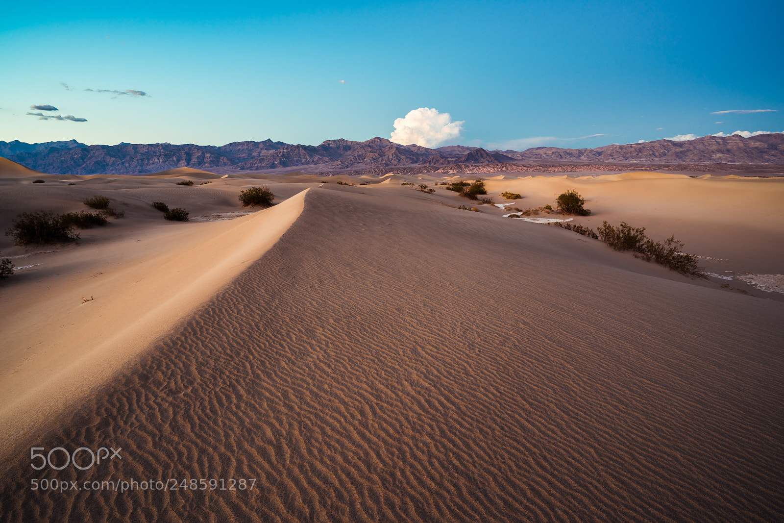 Sony a7R II sample photo. Sand dunes at death photography
