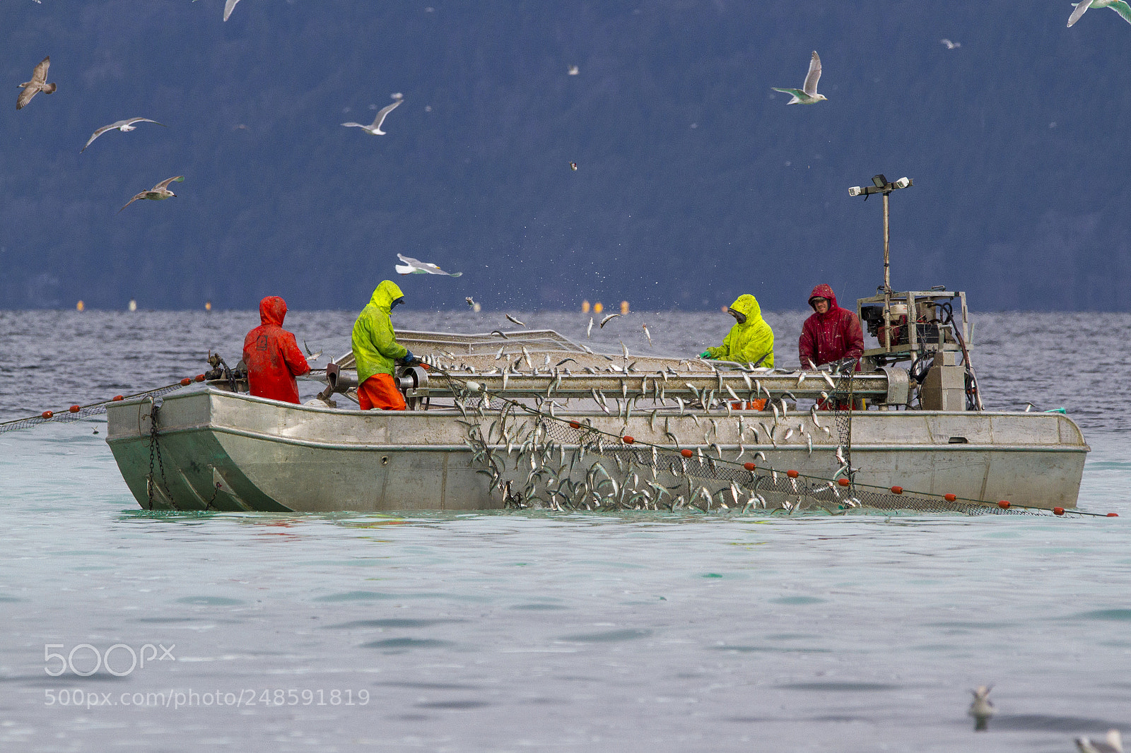 Canon EOS 7D sample photo. The herring grounds photography