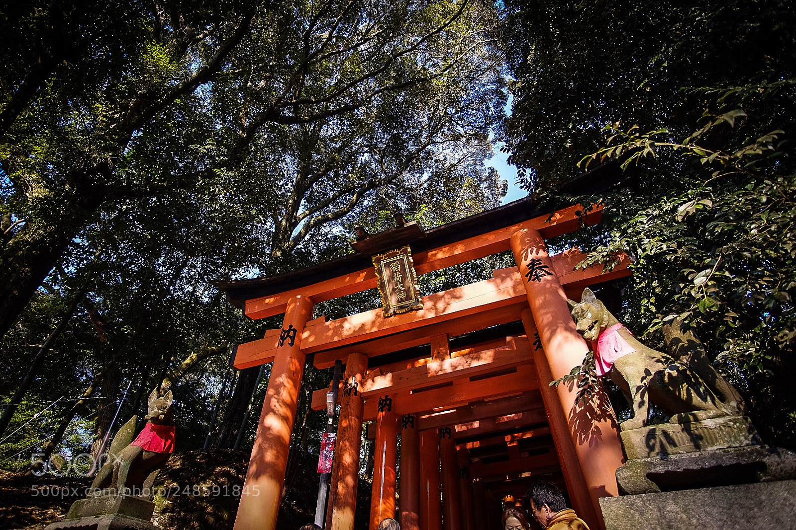 Fujifilm X-T10 sample photo. Fushimi inari shrine photography