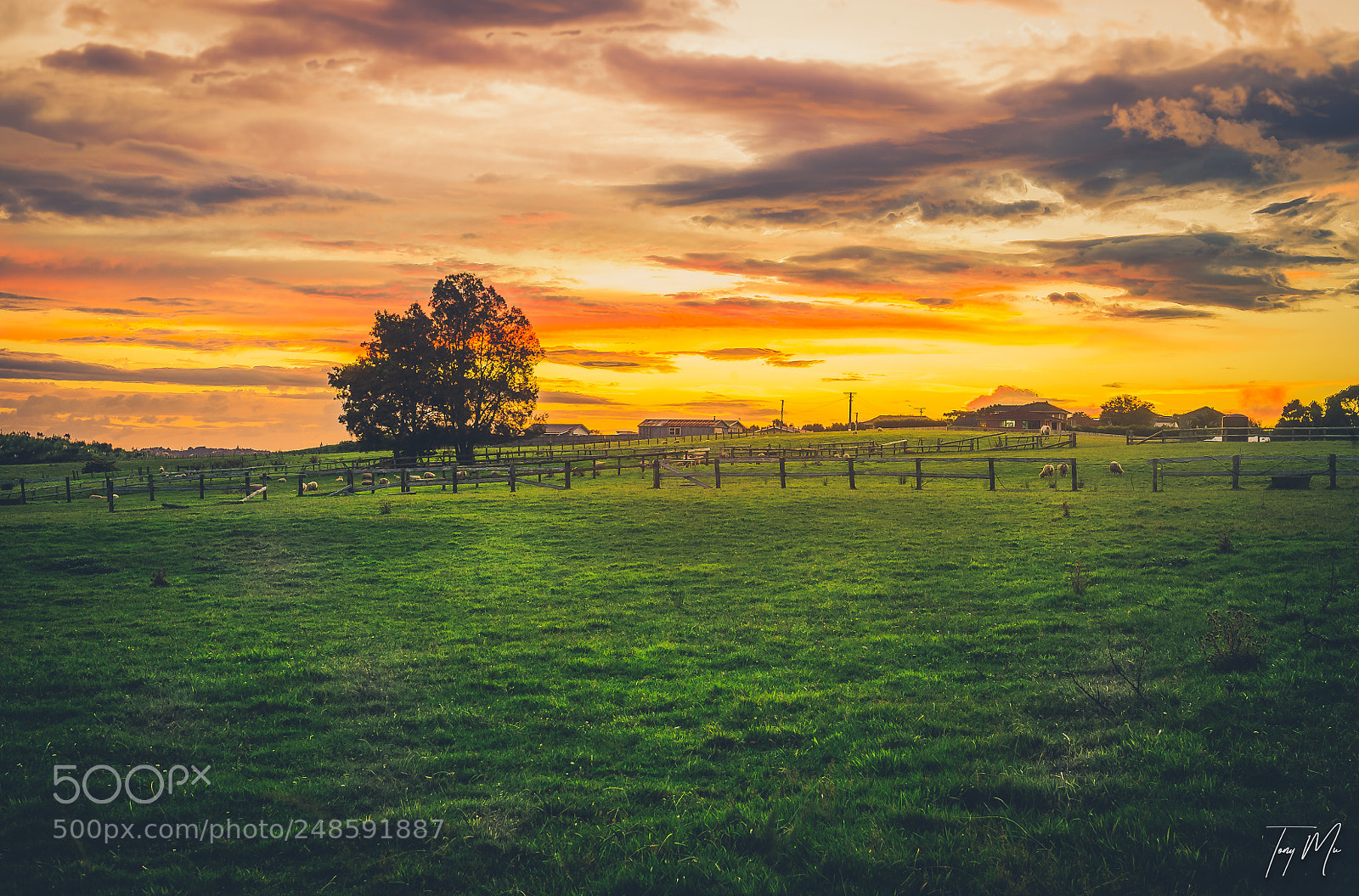 Nikon D700 sample photo. Beachlands, sunset. new zealand photography