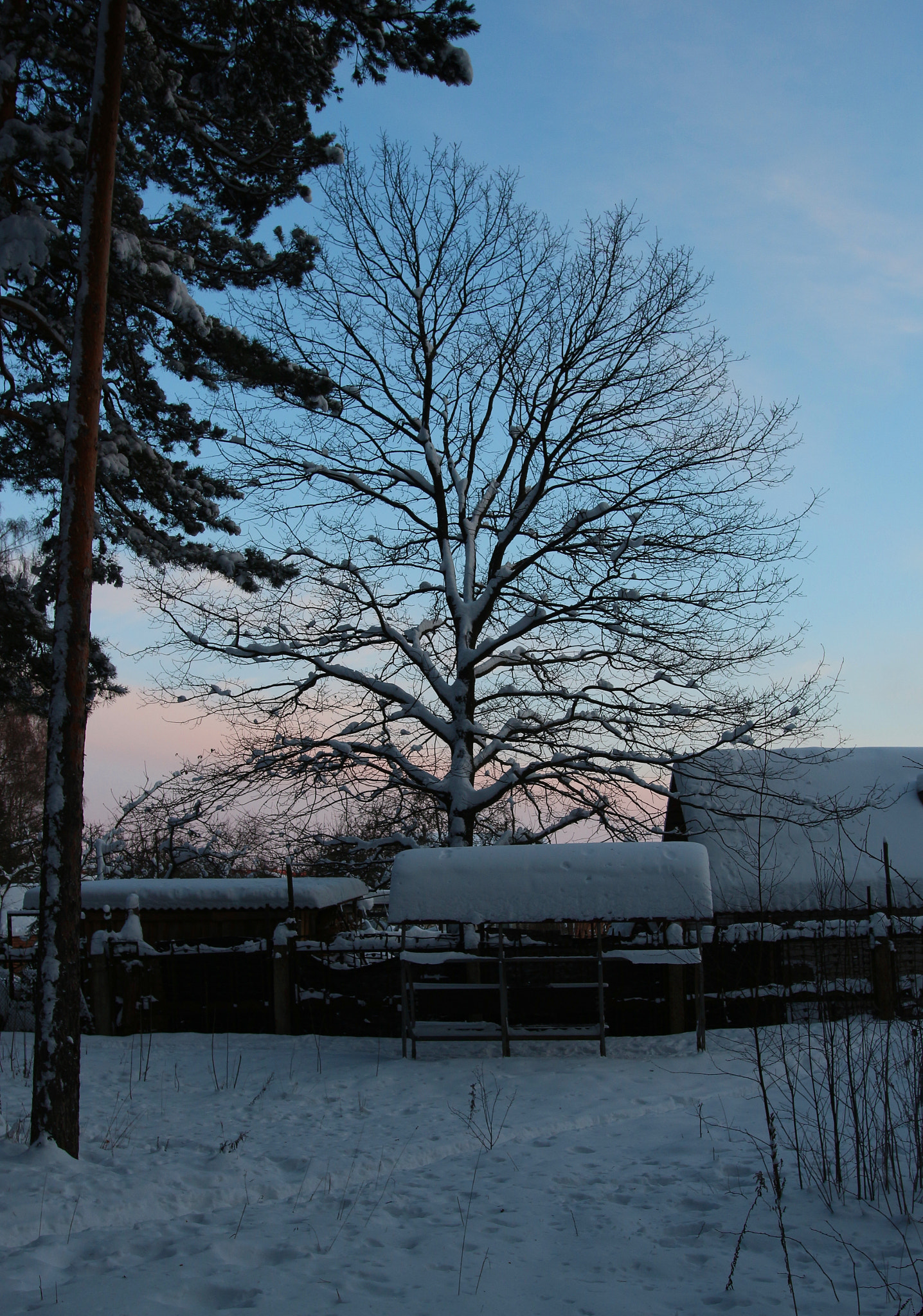 Sigma 18-35mm f/1.8 DC HSM sample photo. Very early spring season photography