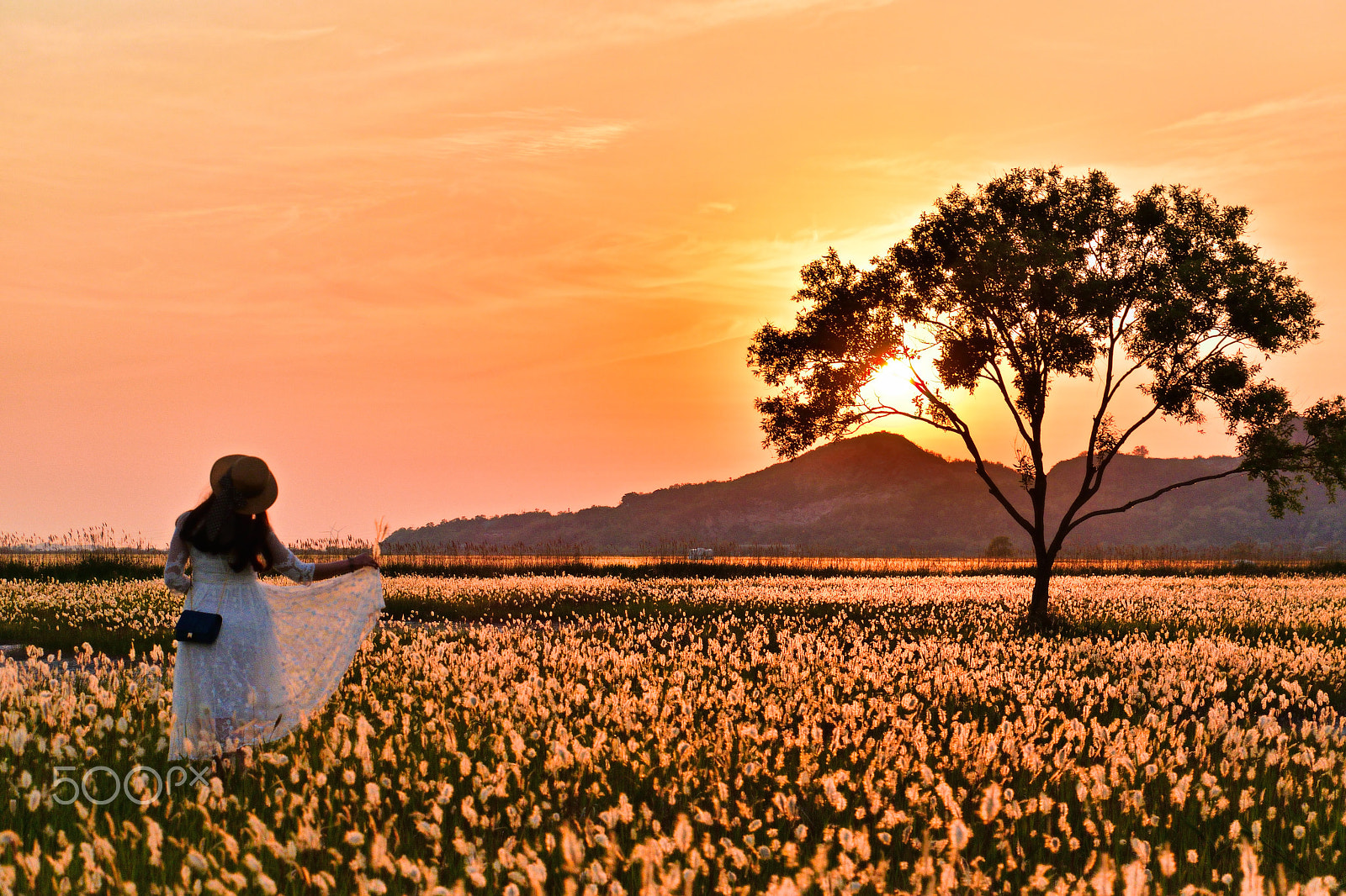 Nikon D5500 sample photo. Lady and the twilight photography