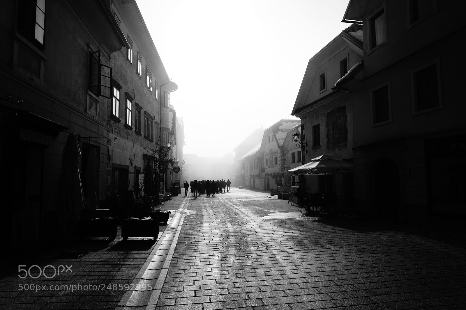 Sony a6000 sample photo. Into the fog photography