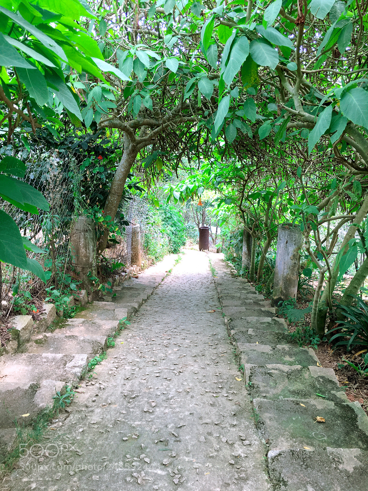 Apple iPhone 6s Plus sample photo. Con Đường nhỏ photography