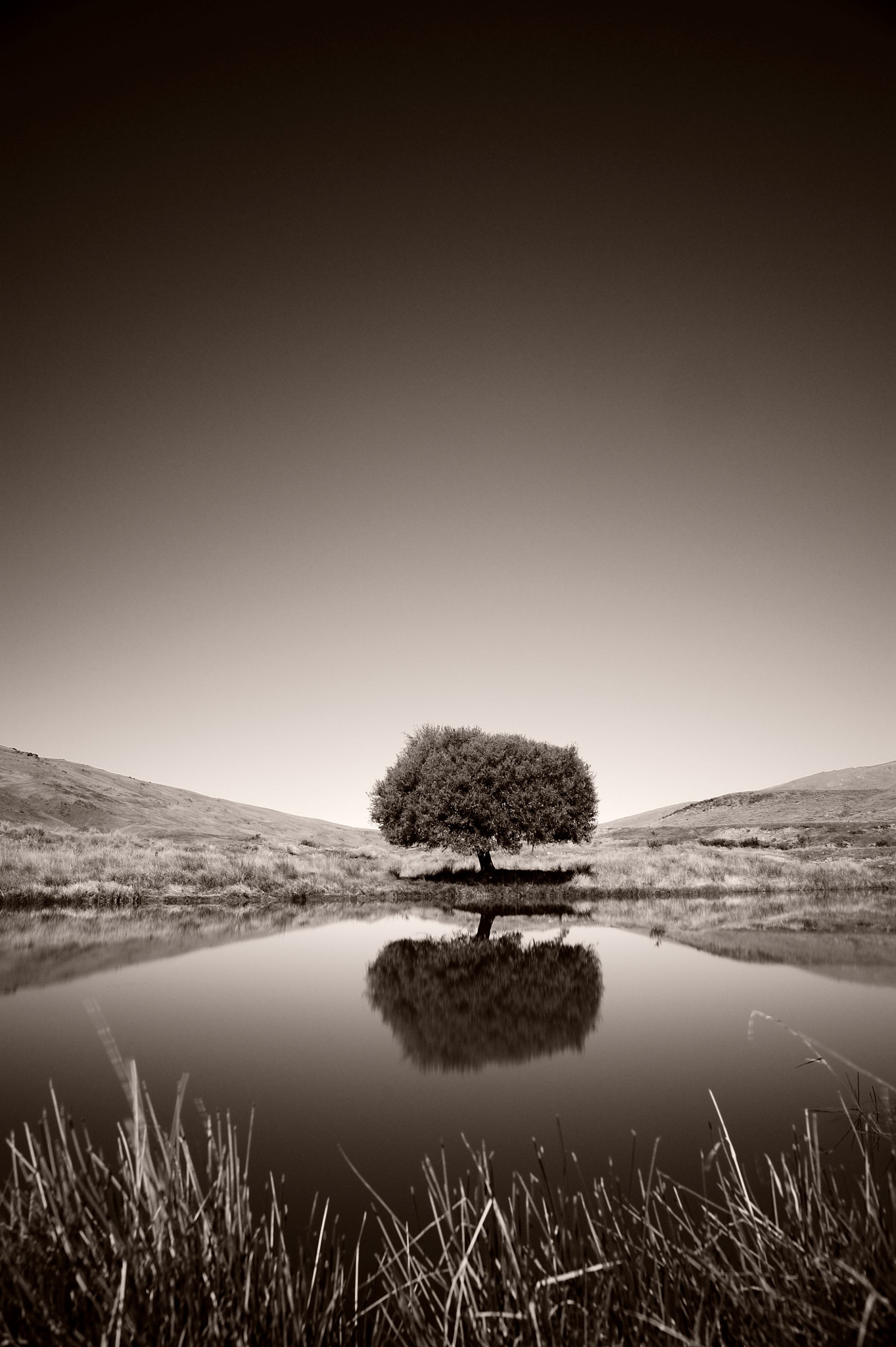 Nikon AF-S Nikkor 24mm F1.4G ED sample photo. Otago, new zealand photography