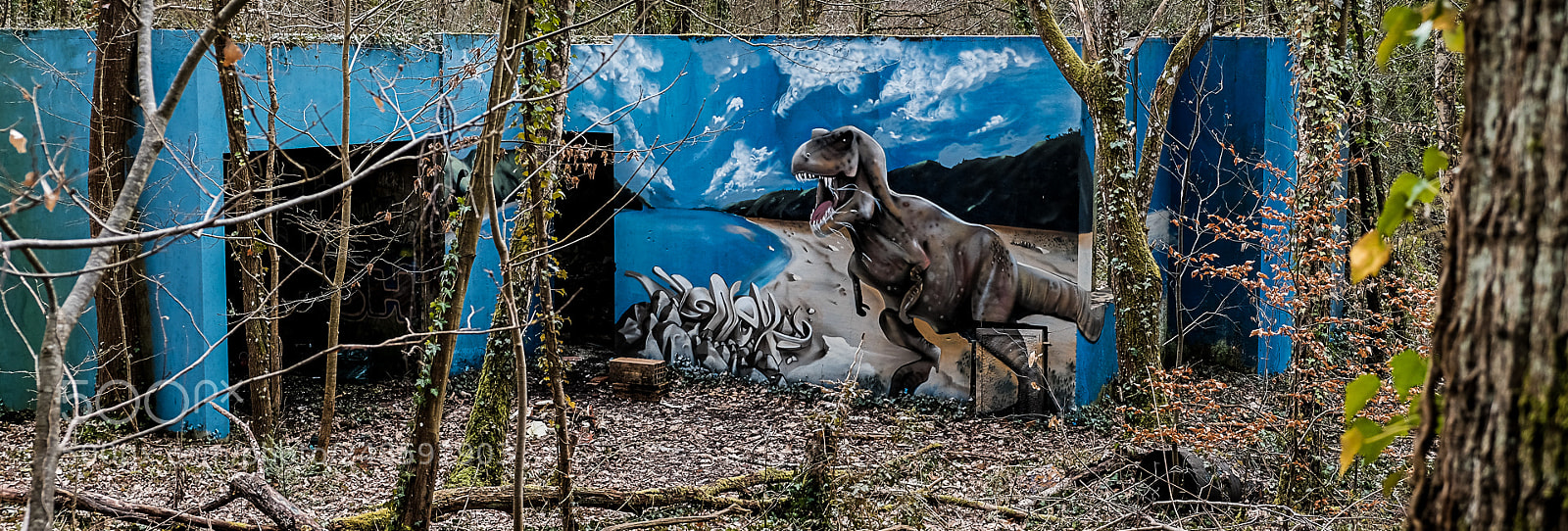 Fujifilm X-T20 sample photo. Discovered in forest photography