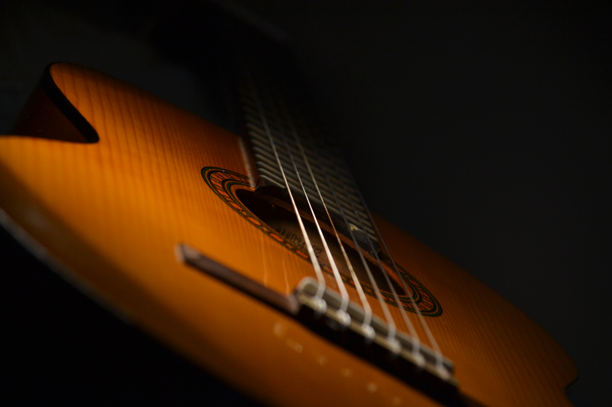 Nikon D3100 sample photo