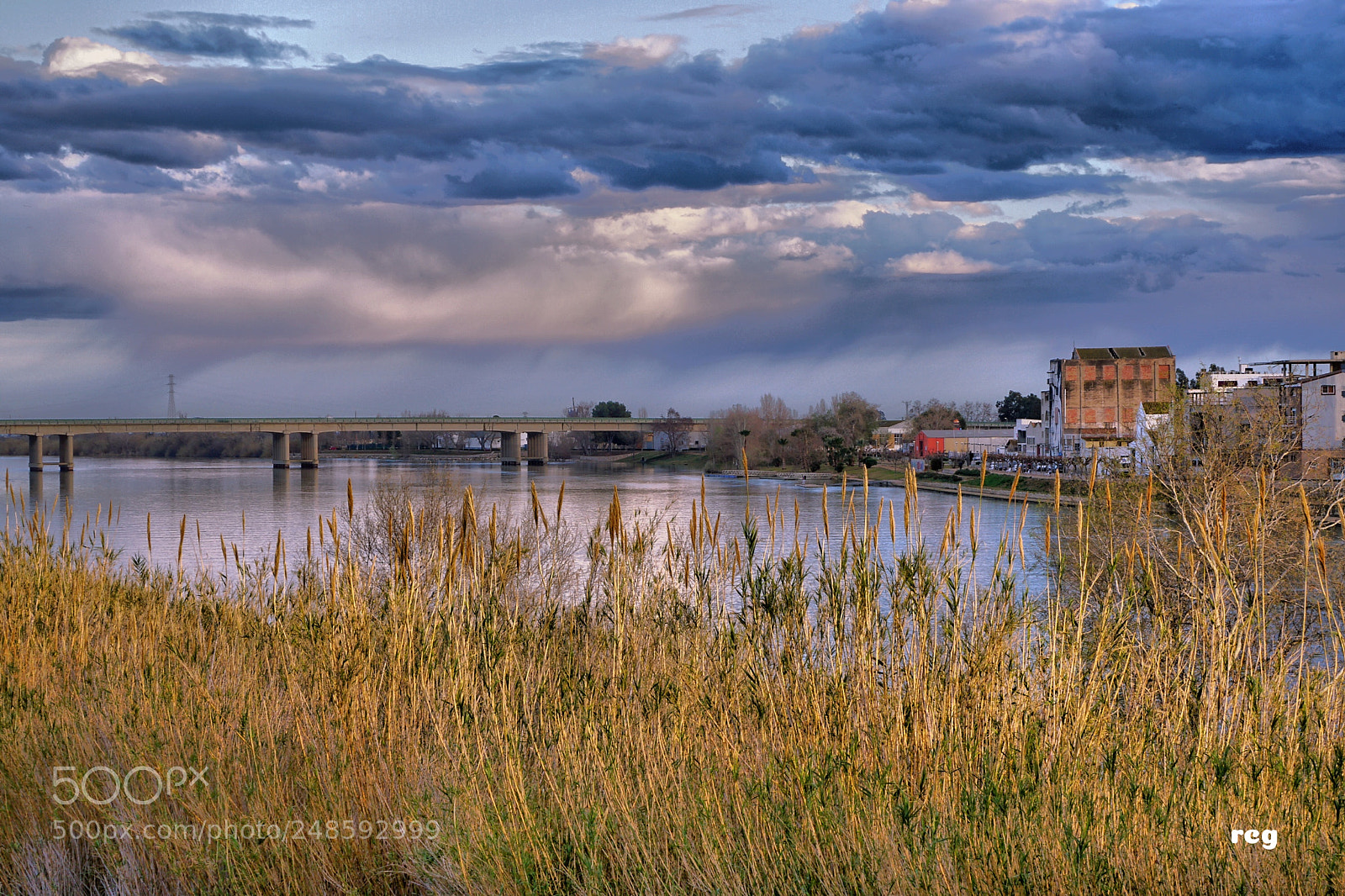 Sony a6300 sample photo. Terres de l' ebre.catalunya photography