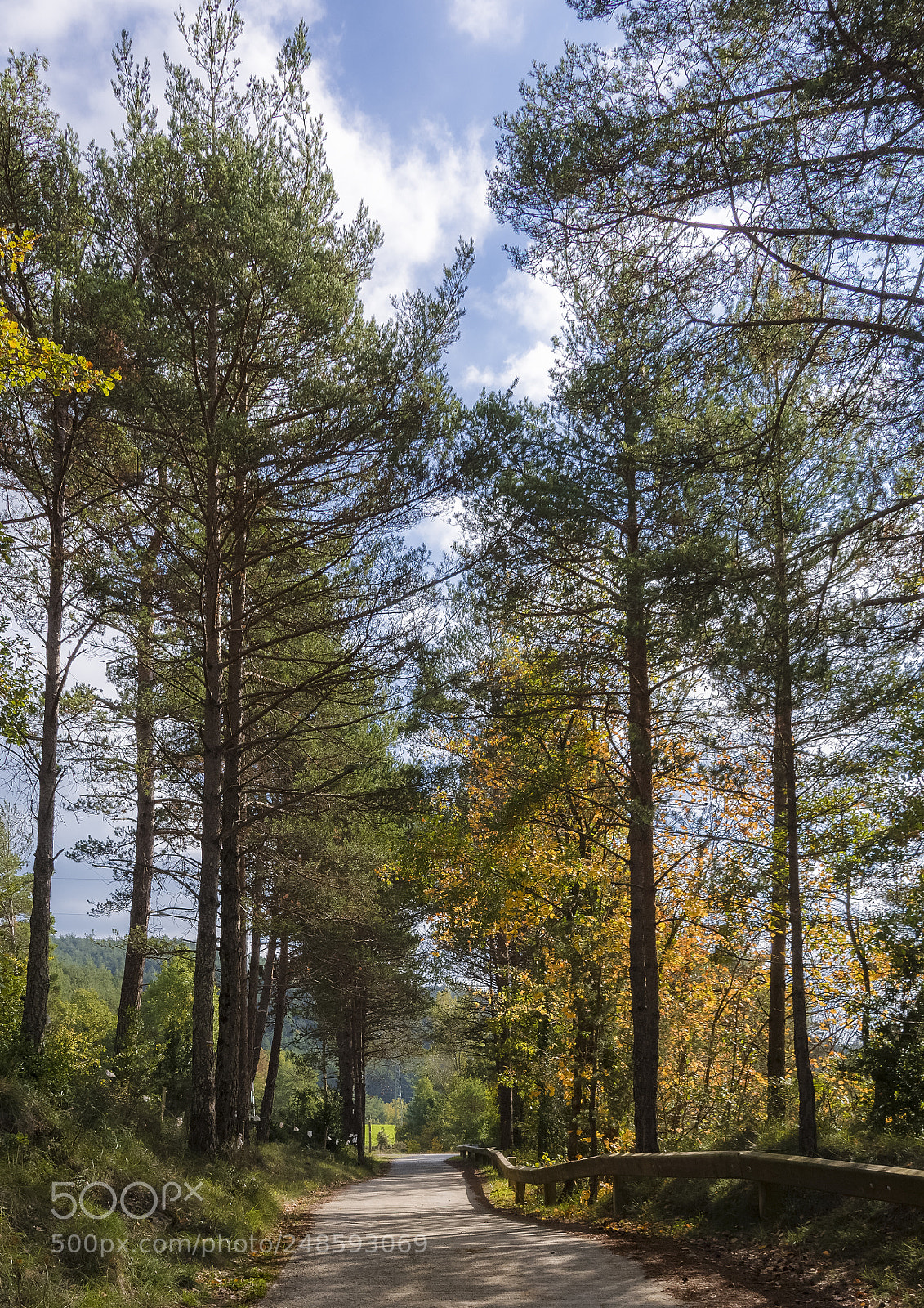 Nikon D7100 sample photo. Paseo otoñal photography