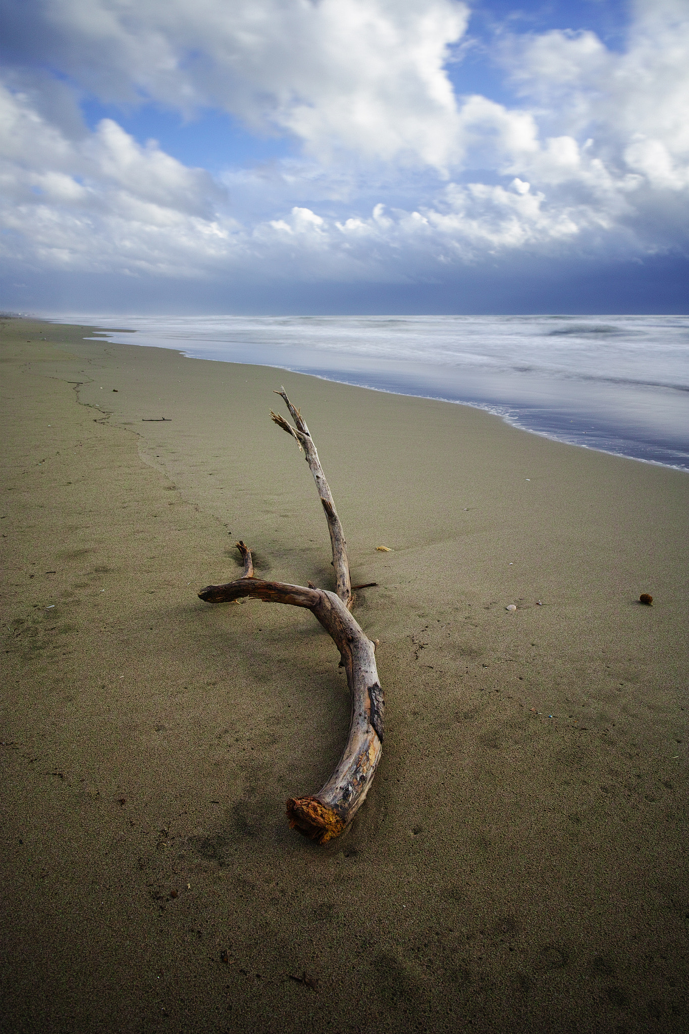 Sigma dp0 Quattro sample photo. "winter beach" photography